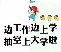 成考和網(wǎng)教怎么選？